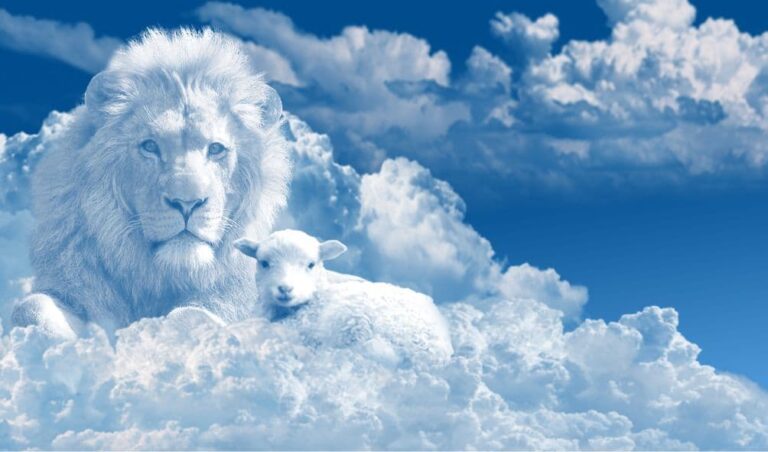leão e a ovelha nas nivens